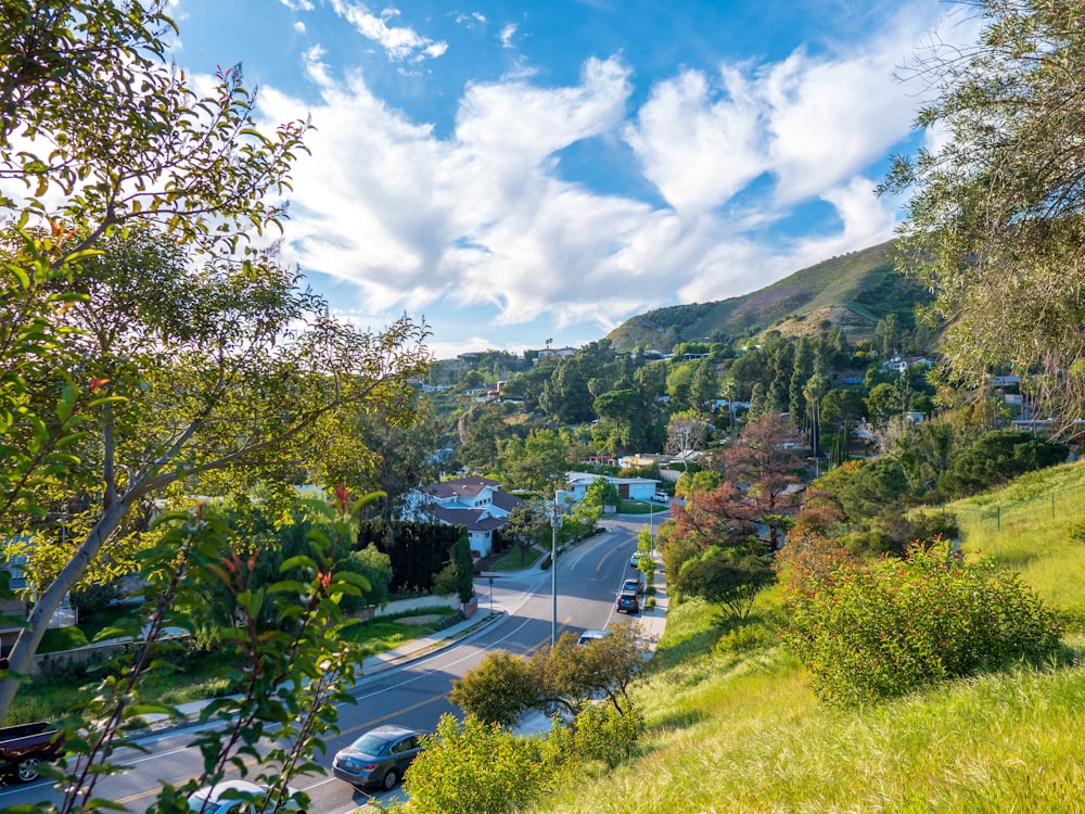 cars parked on parking lot near green trees under blue and white cloudy sky during daytime