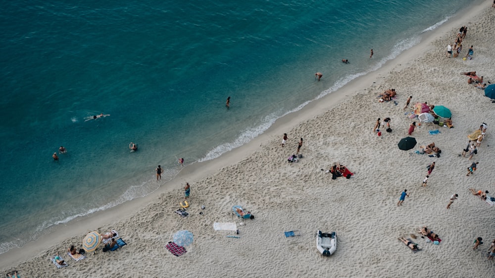 people on beach during daytime