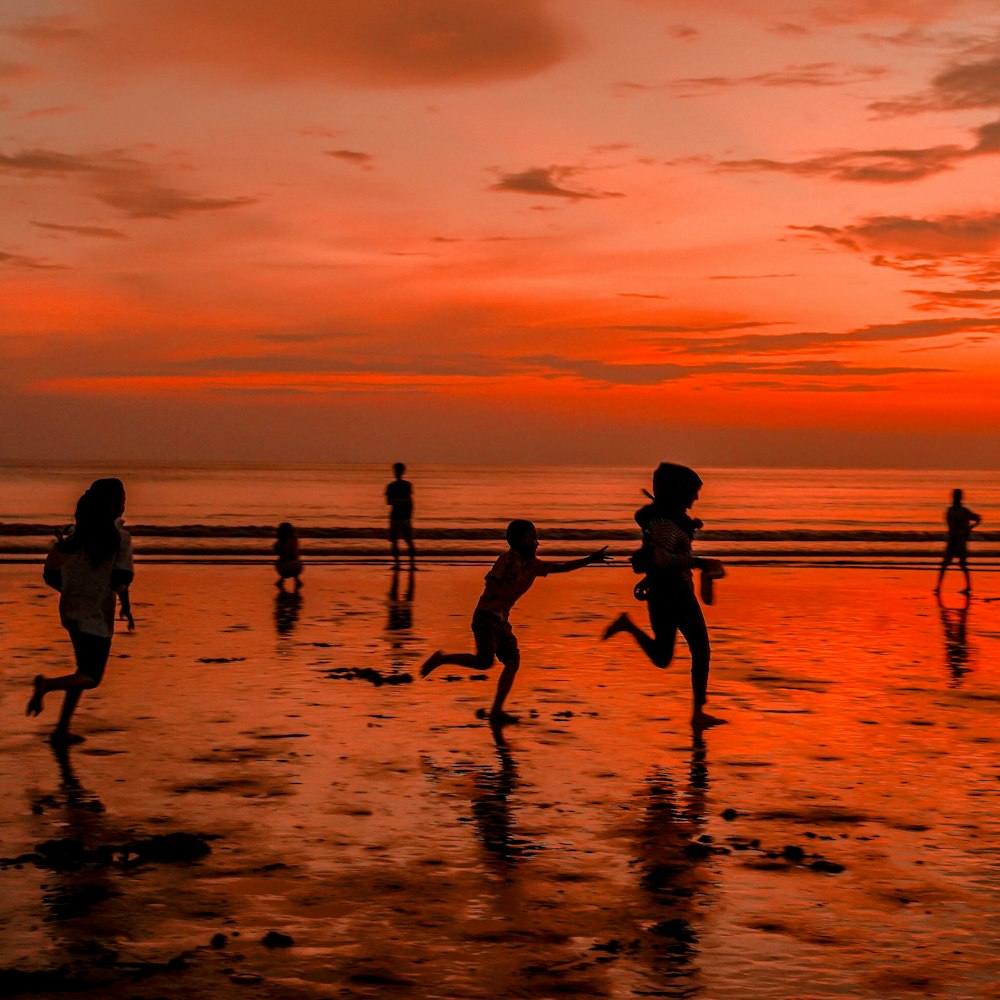 silhouette of people on beach during sunset