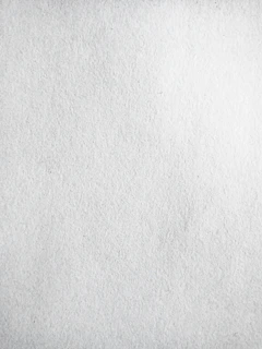 Close-up of the fine grain and detail on a Hahnemühle photo paper print