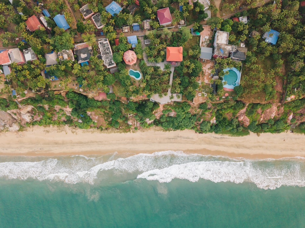 aerial view of houses near body of water during daytime