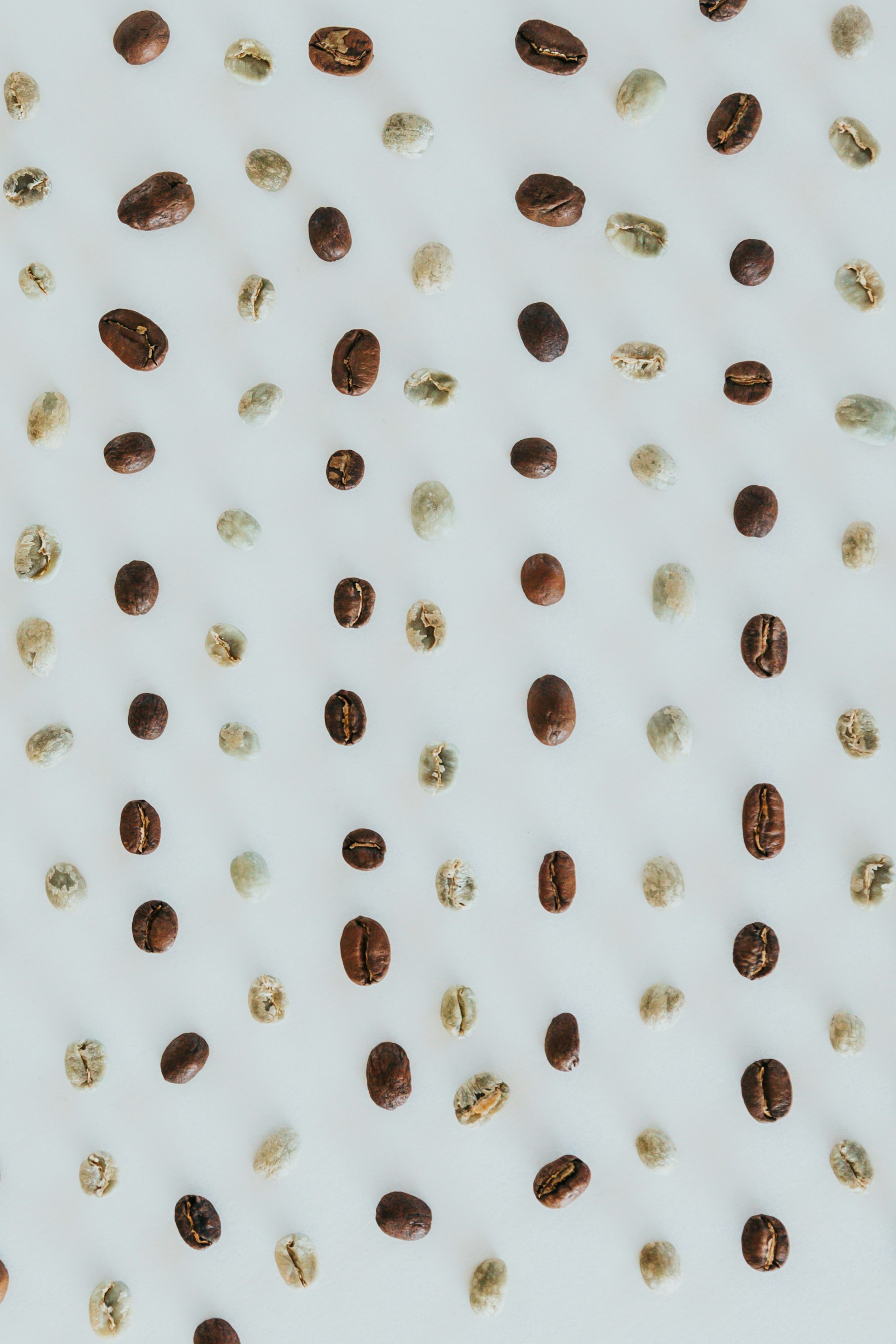 Premium Coffee Beans & Spices