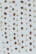 An assortment of coffee beans, both whole and unroasted, are evenly spaced on a light surface, creating a pattern. The beans vary in color from dark brown to light green.