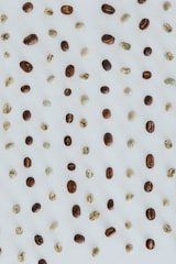 An assortment of coffee beans, both whole and unroasted, are evenly spaced on a light surface, creating a pattern. The beans vary in color from dark brown to light green.