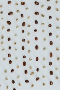 A selection of coffee beans in various colors and sizes.