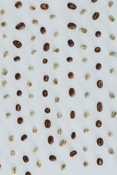 An assortment of green coffee beans from various regions in clear bags.