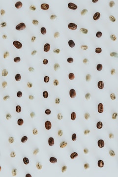 An assortment of coffee beans, both whole and unroasted, are evenly spaced on a light surface, creating a pattern. The beans vary in color from dark brown to light green.