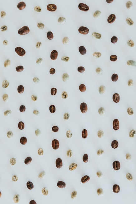 An assortment of coffee beans displayed in natural light.