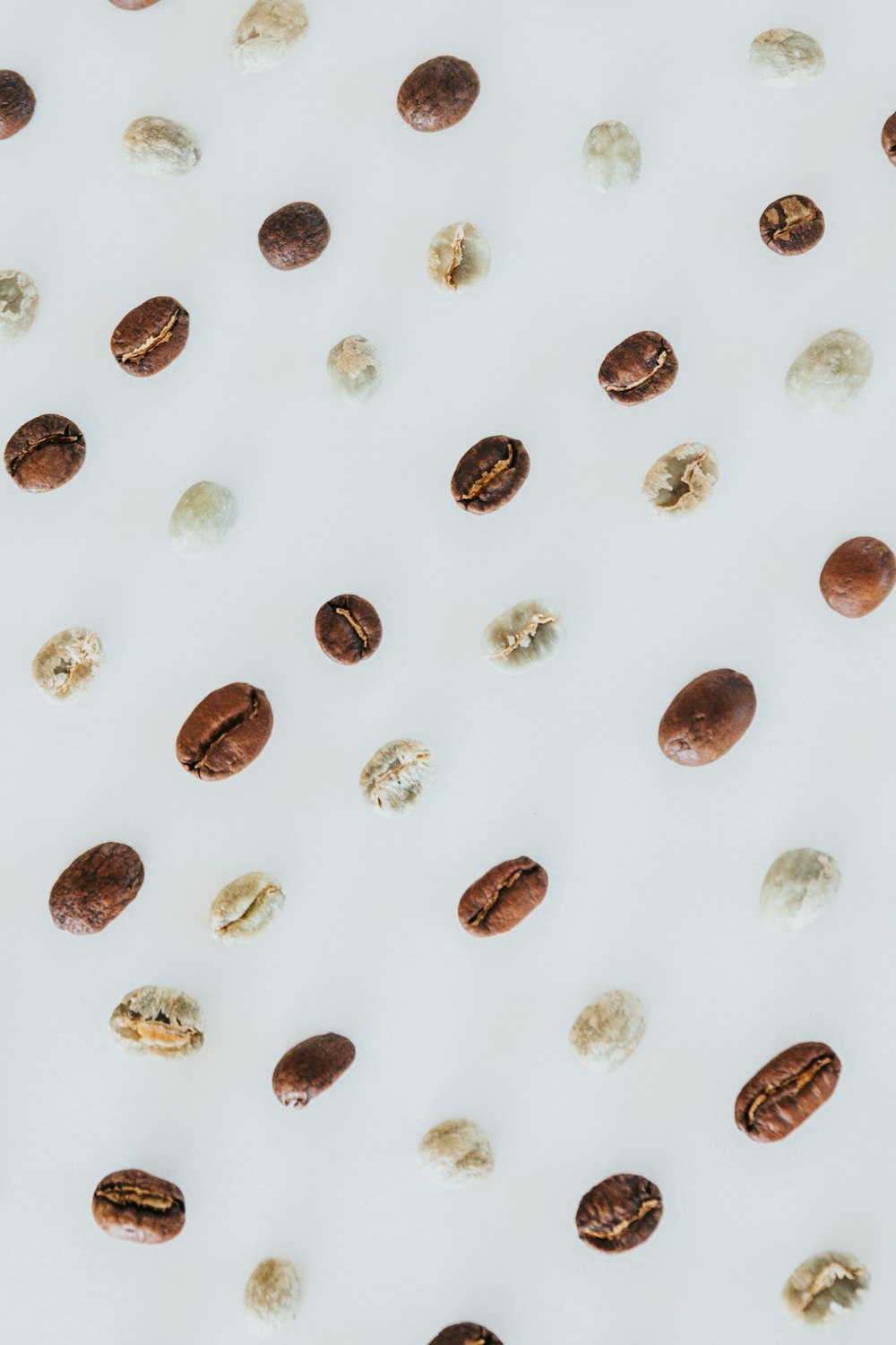 brown and white stones on white surface