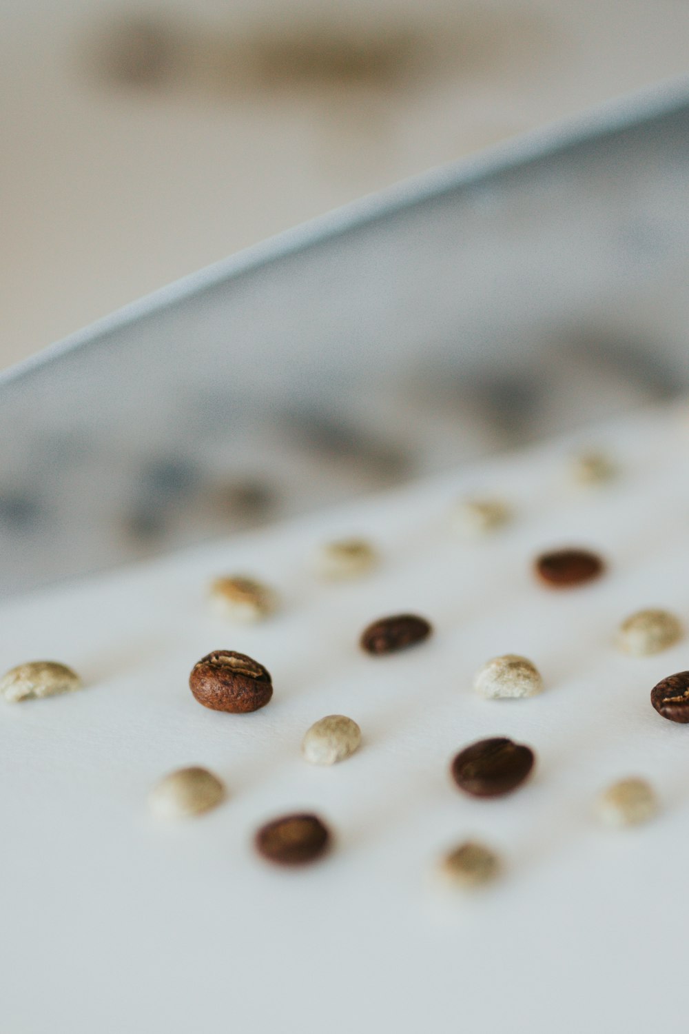 brown and black stones on white ceramic plate