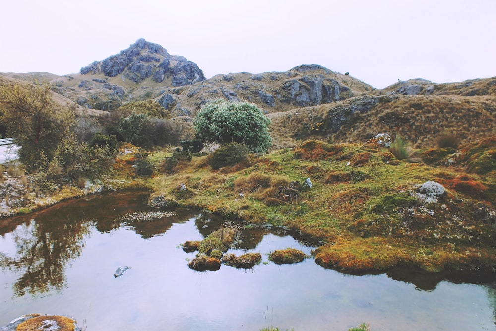 green grass and brown and green mountains beside lake during daytime