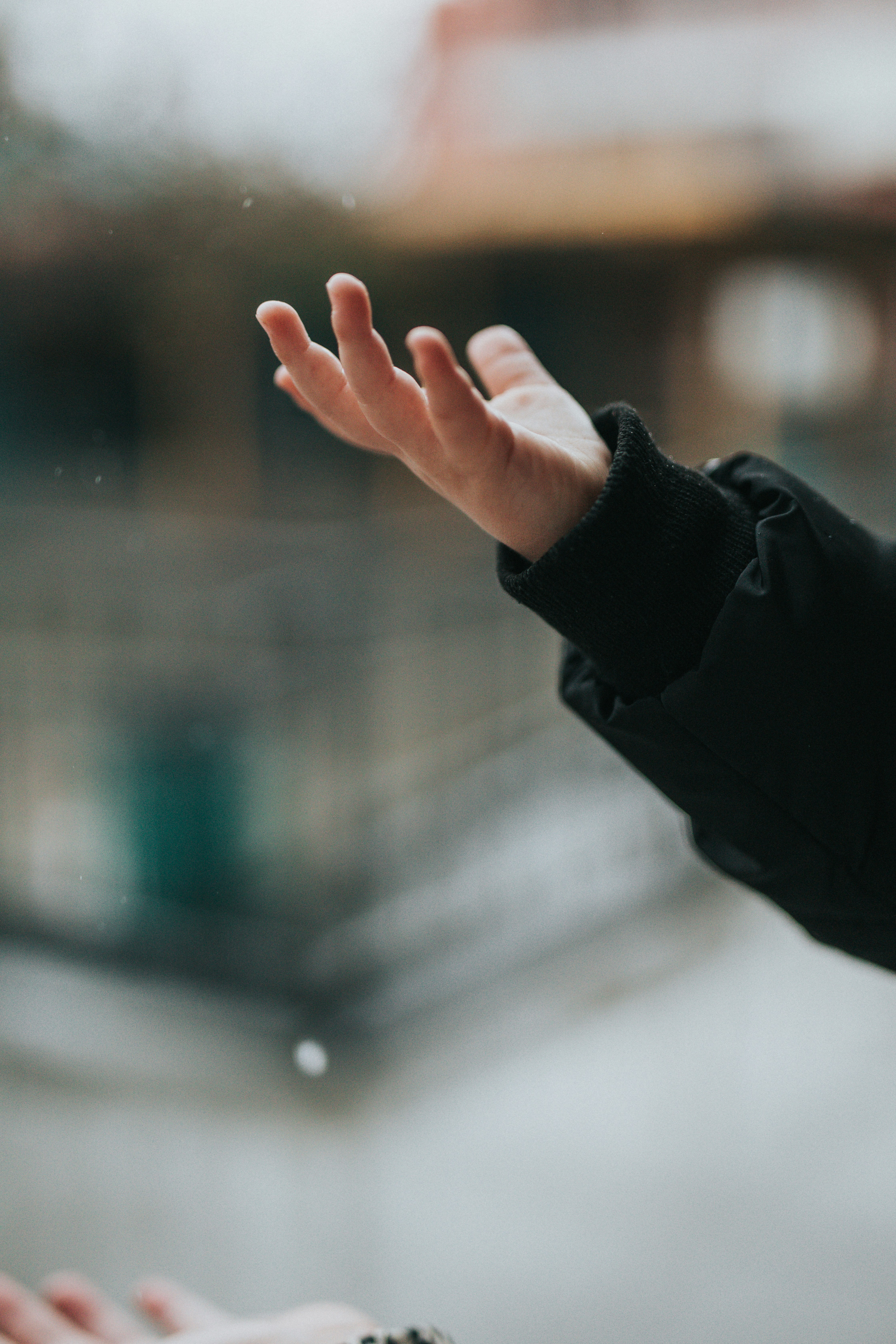 Photo by nate_dumlao