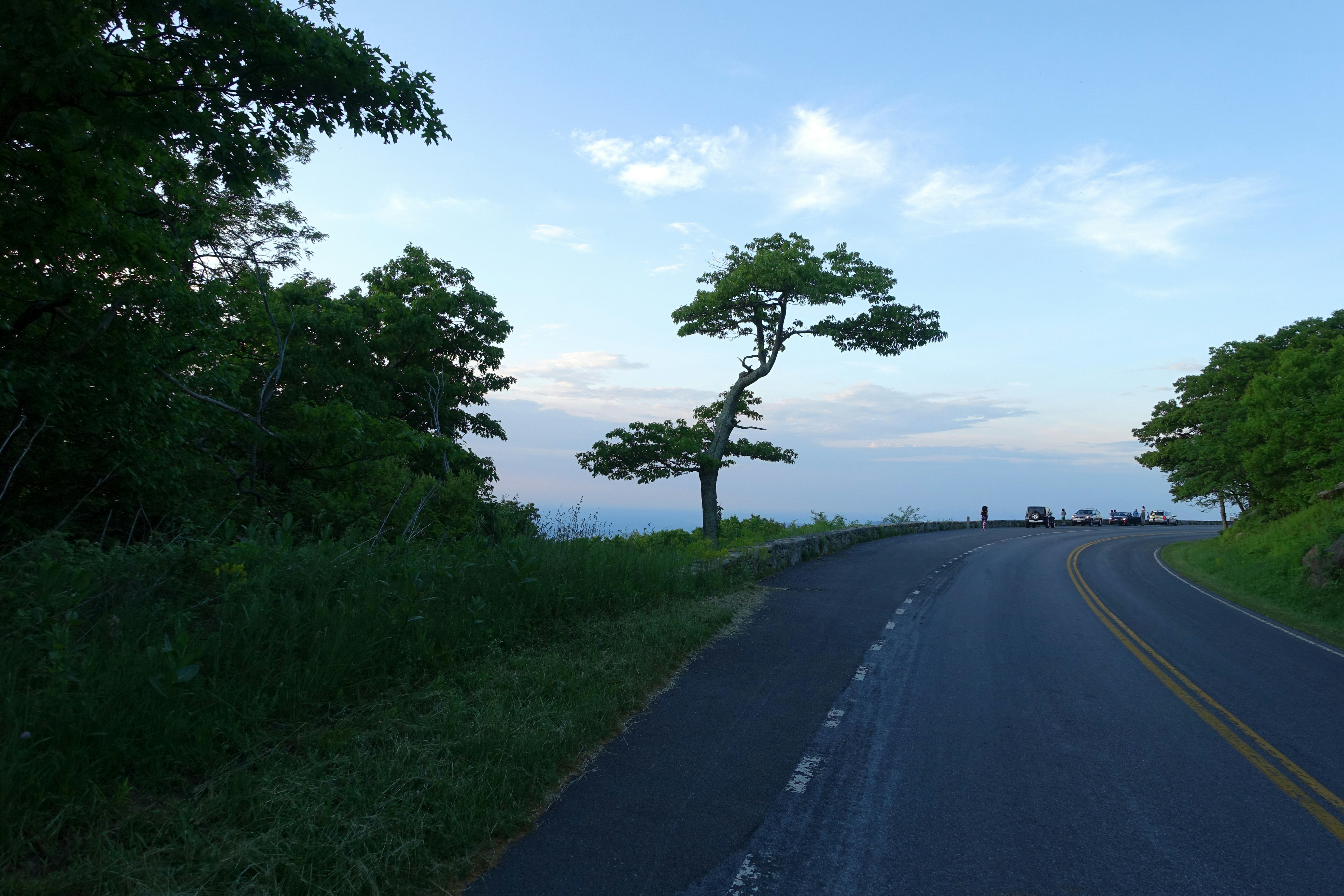 gray asphalt road between green grass field during daytime, 