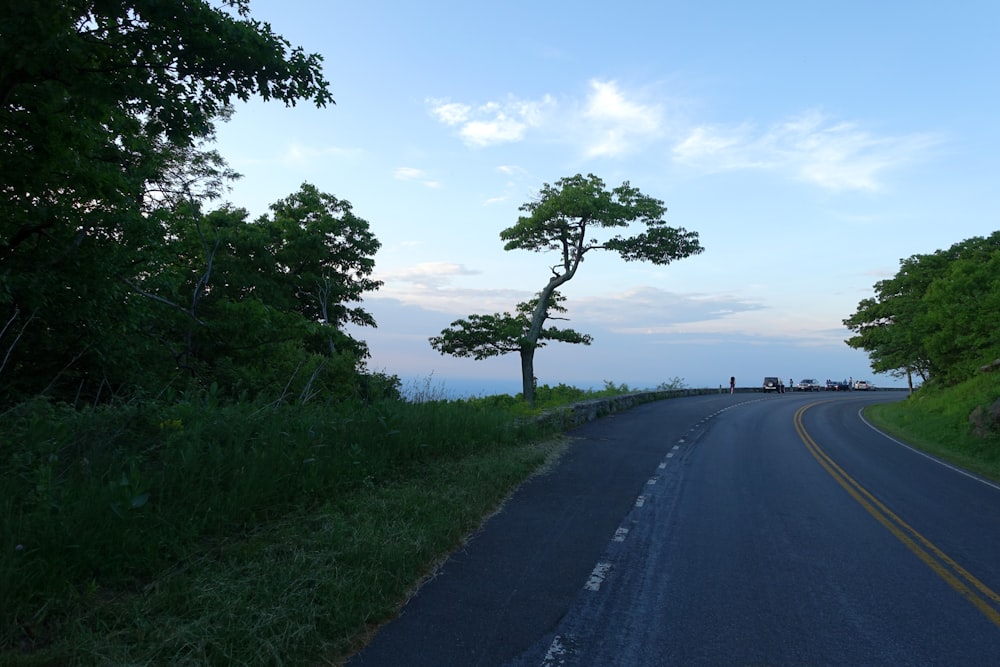 gray asphalt road between green grass field during daytime