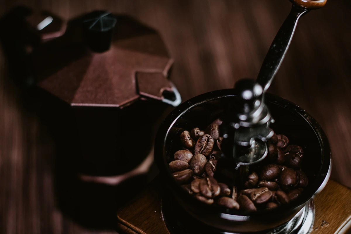 Whole coffee beans in a mug ready for grinding