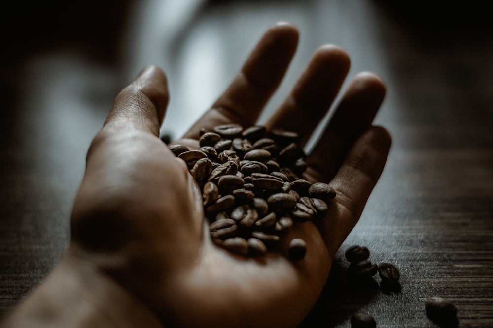 person holding coffee beans on brown wooden table