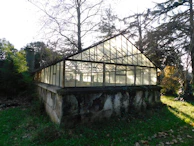 The old greenhouse nestled among tall trees, its glass panes catching the afternoon sun.