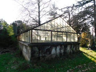 The old greenhouse nestled among tall trees, its glass panes catching the afternoon sun.