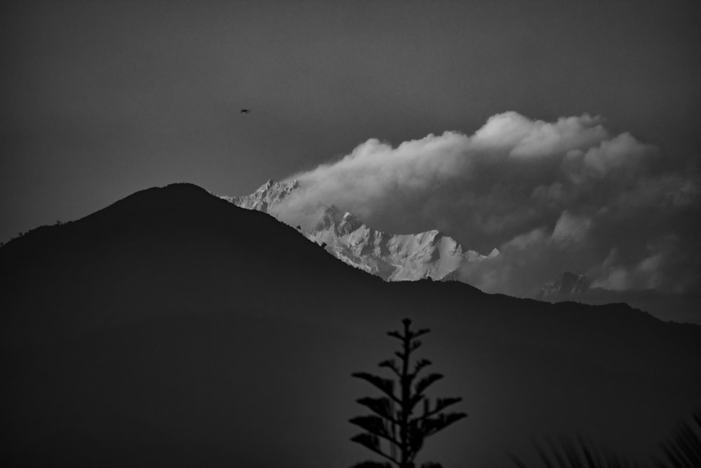 grayscale photo of mountain and trees