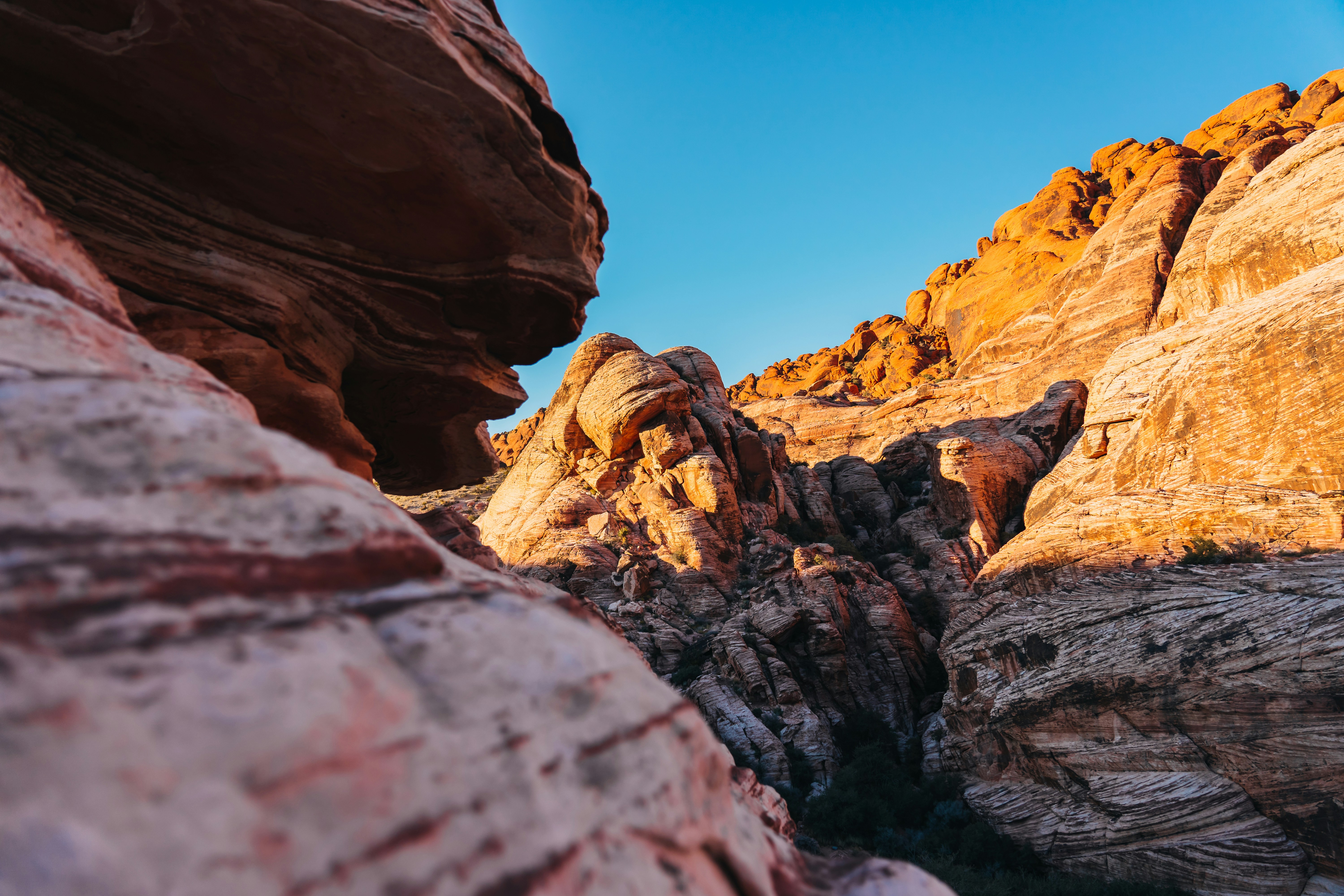 Photo by kalaniparker