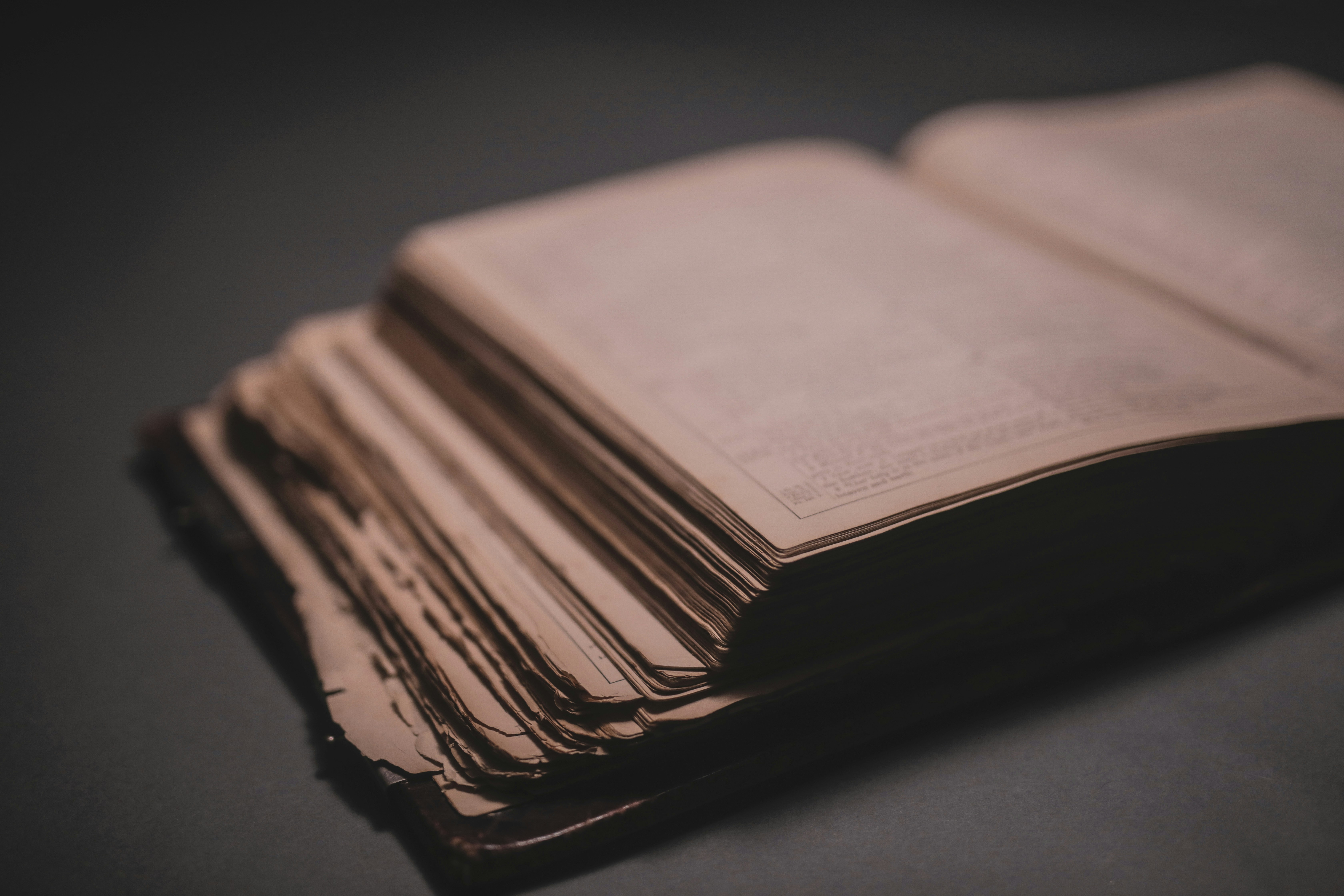 Purple Book Pictures | Download Free Images on Unsplash