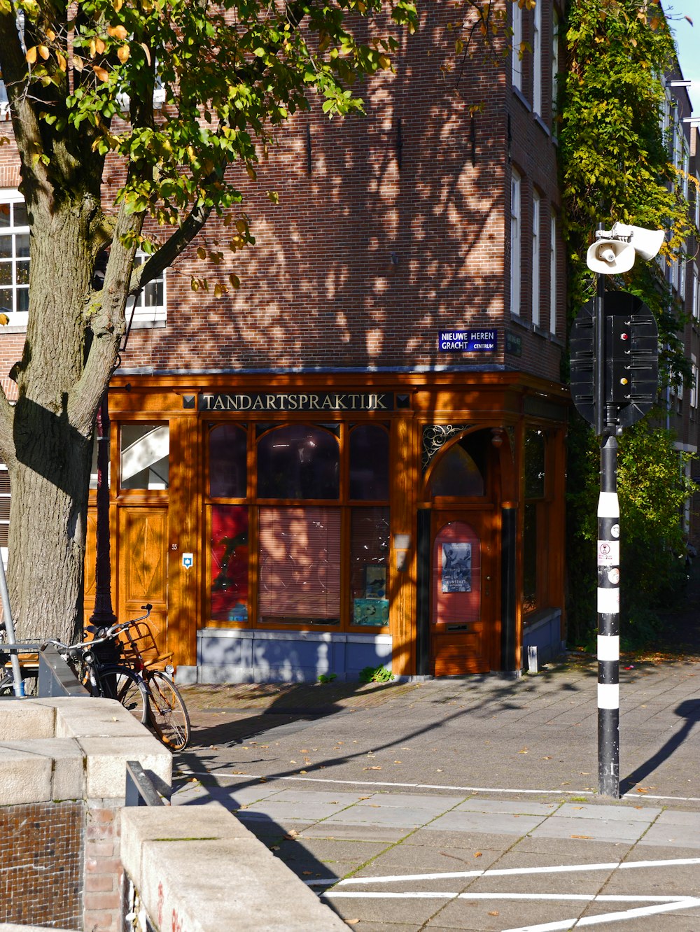 brown brick building with glass window and green tree