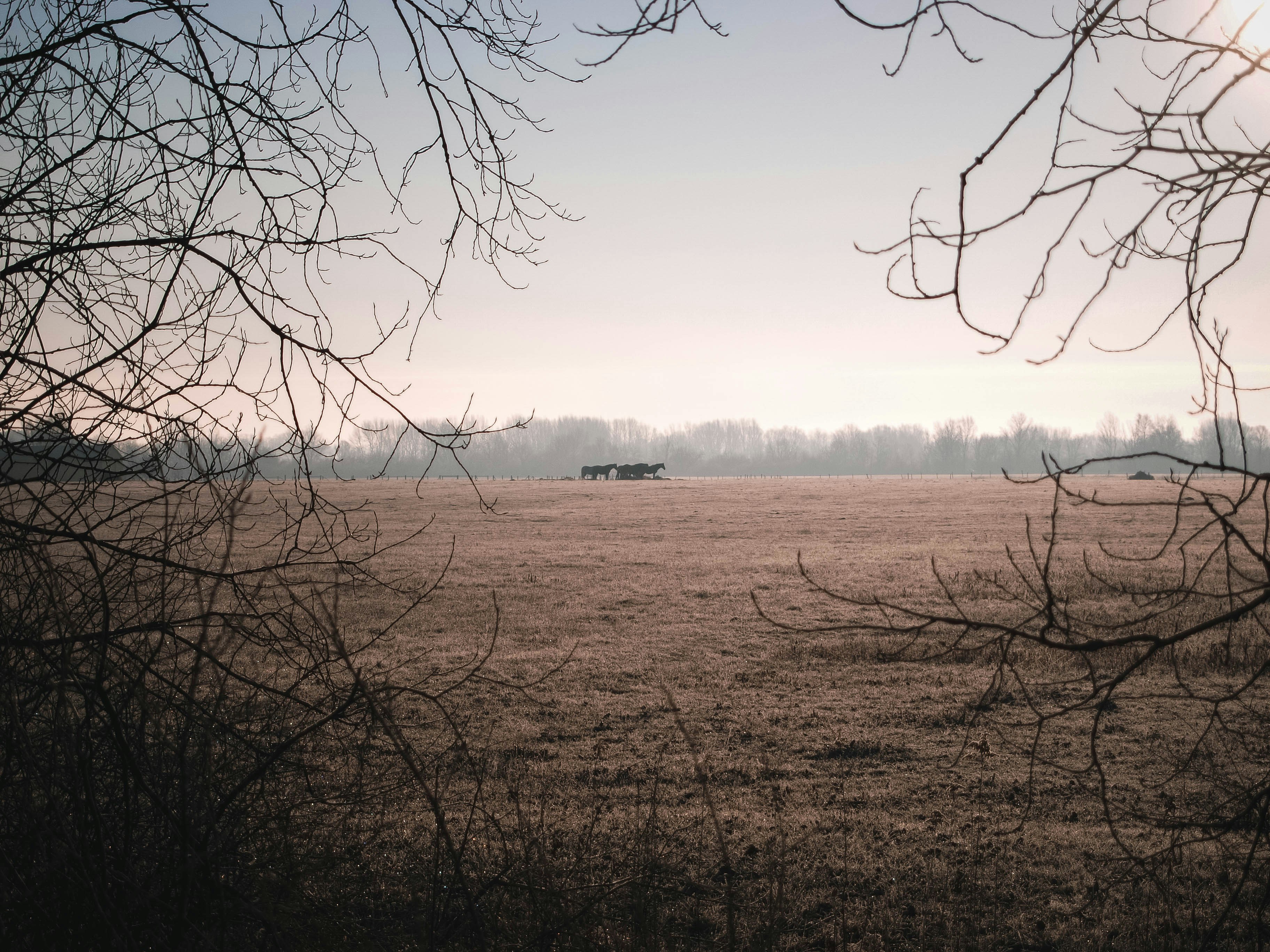 Photo by bencehalmosi