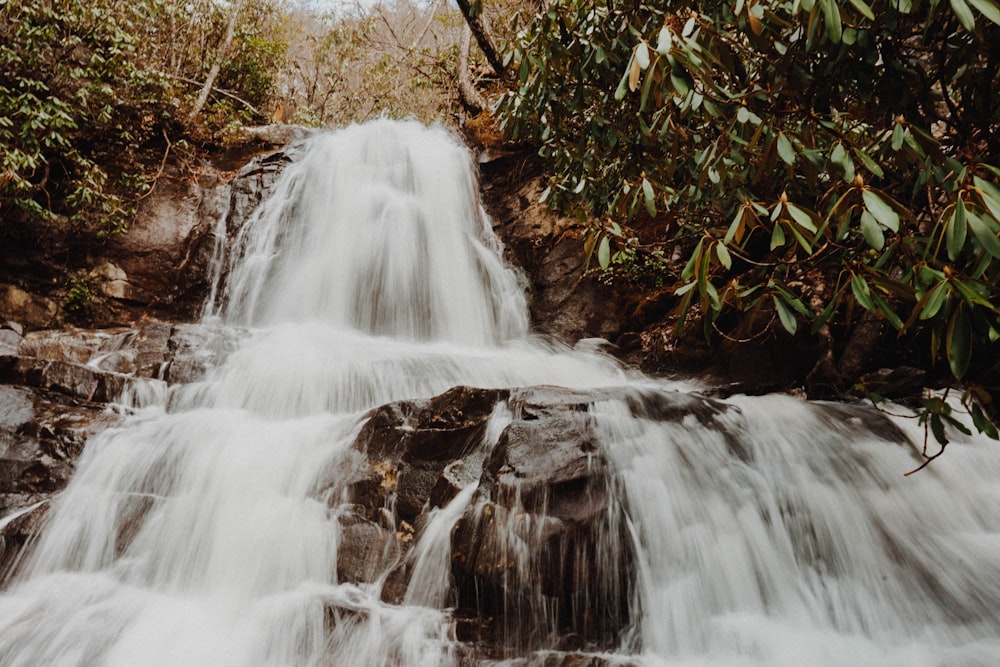 water falls in the middle of the forest