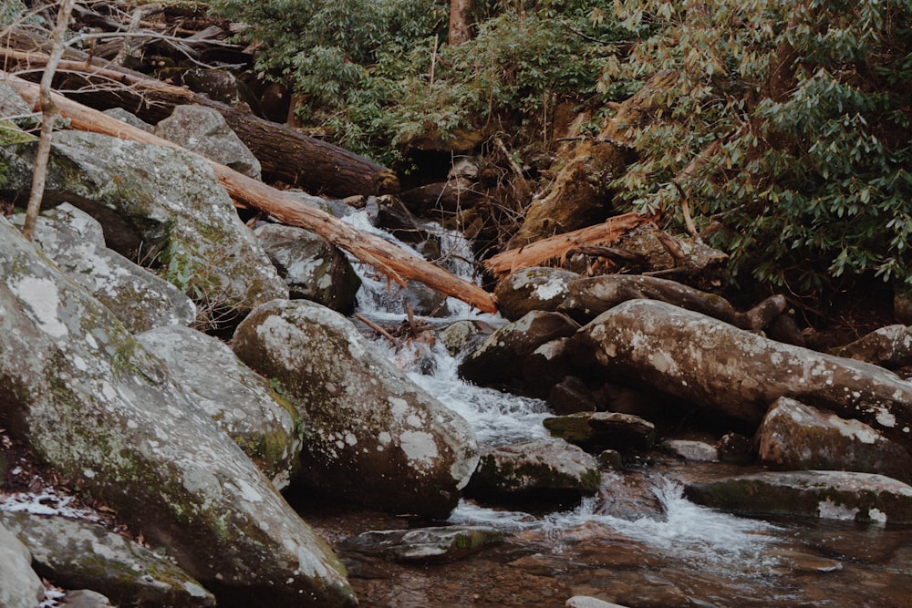 gray rocks on river during daytime