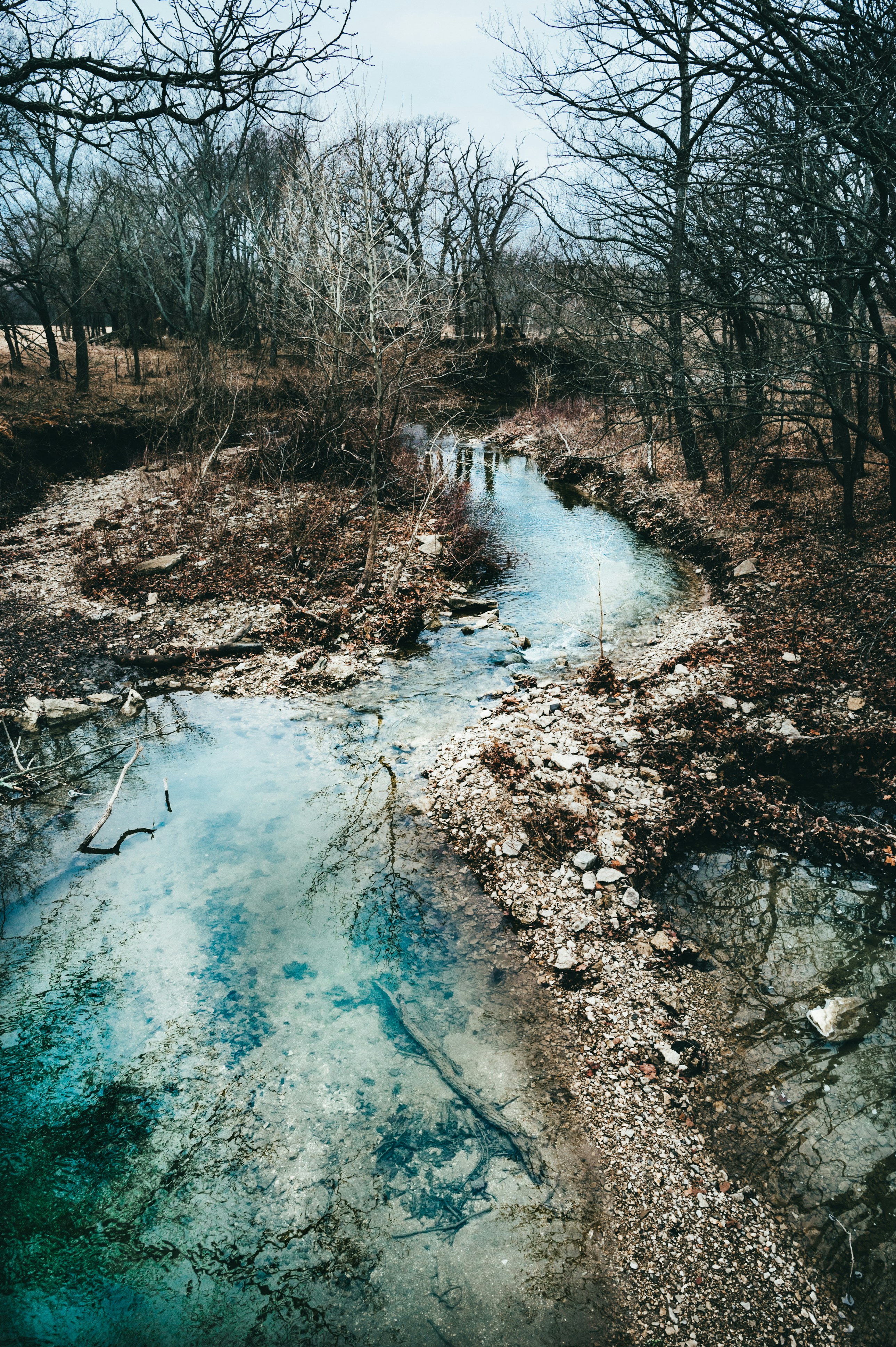 Photo by coltonsturgeon