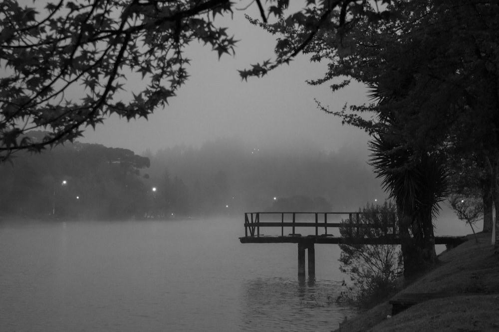 grayscale photo of wooden dock on lake