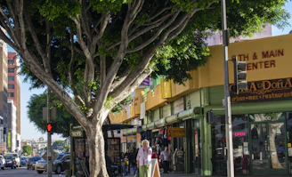 A warm, sunlit street scene in Studio City with local shops and leafy trees lining the sidewalk.