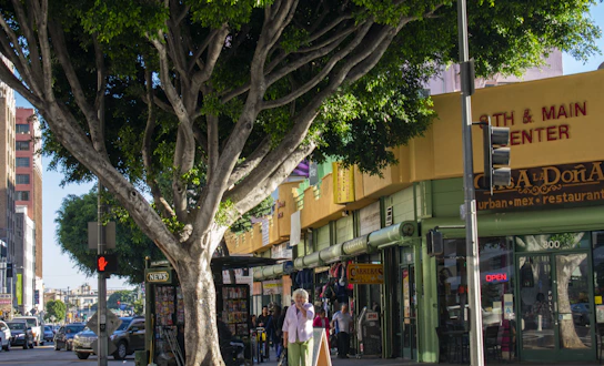 A warm, sunlit street scene in Studio City with local shops and leafy trees lining the sidewalk.