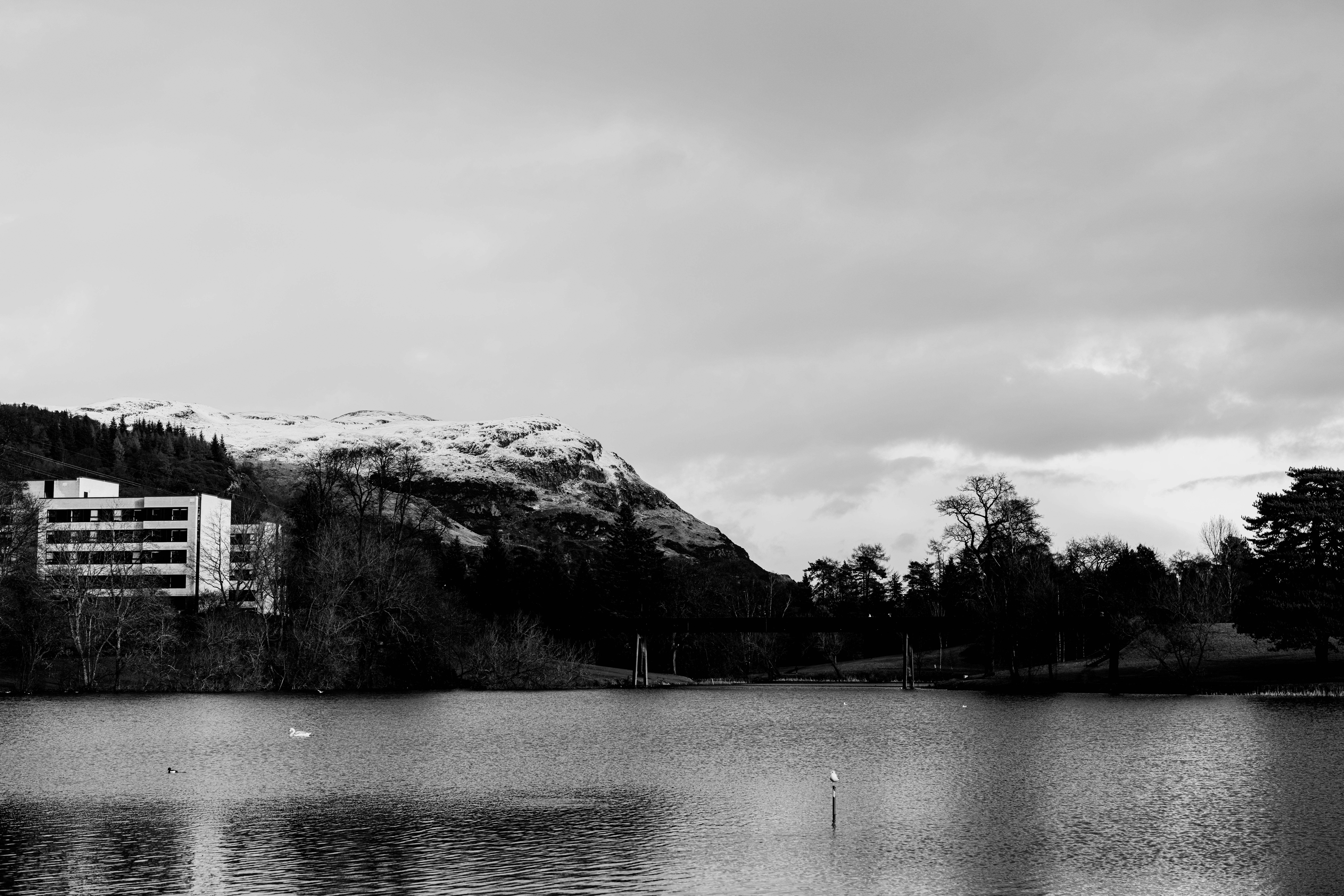 Containers in Lake Wales, FL