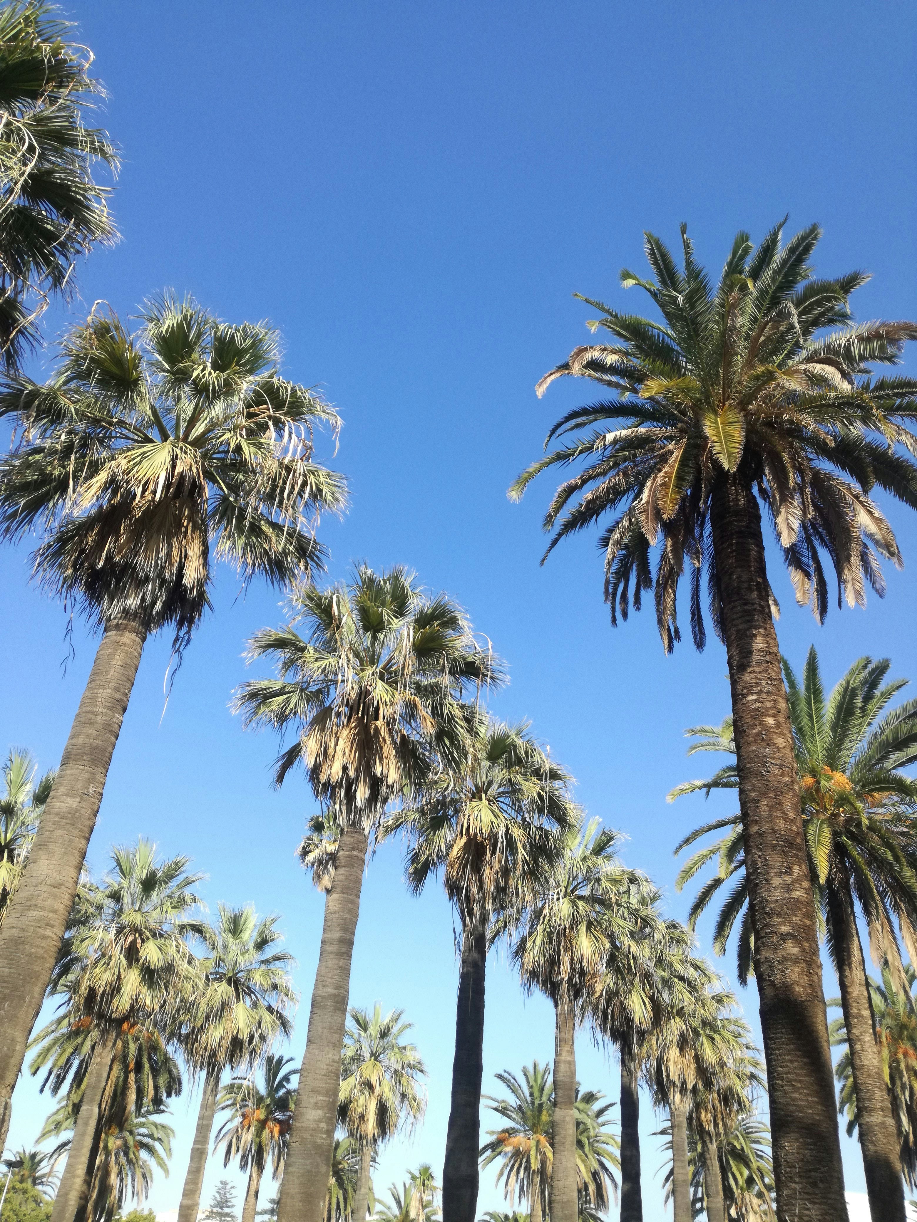 Photo by bouhsiniyoussef