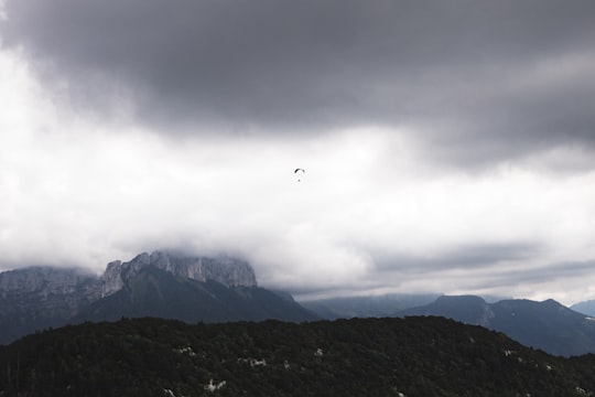 bird flying over green mountain during daytime in Annecy France