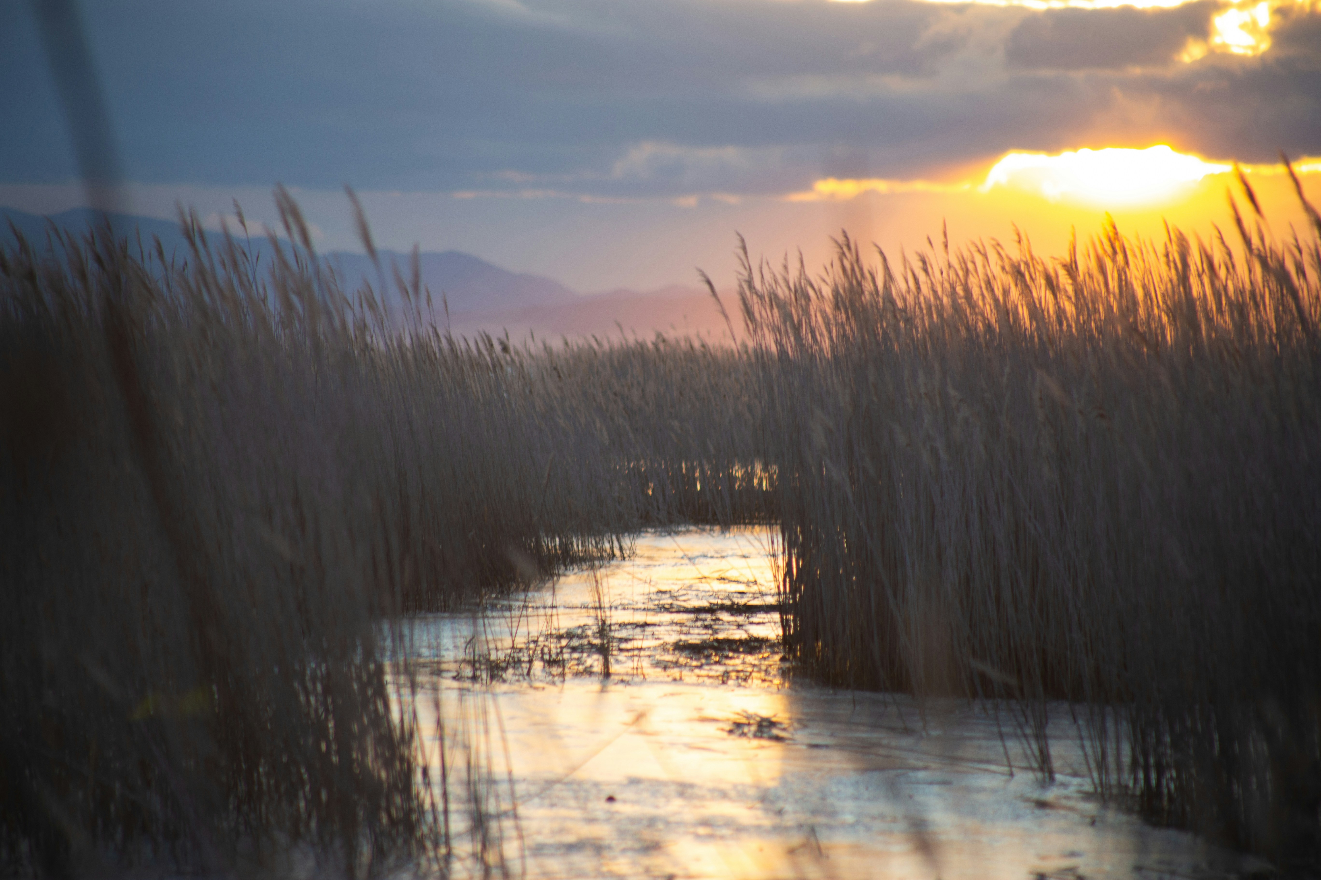 Photo by brentdalling