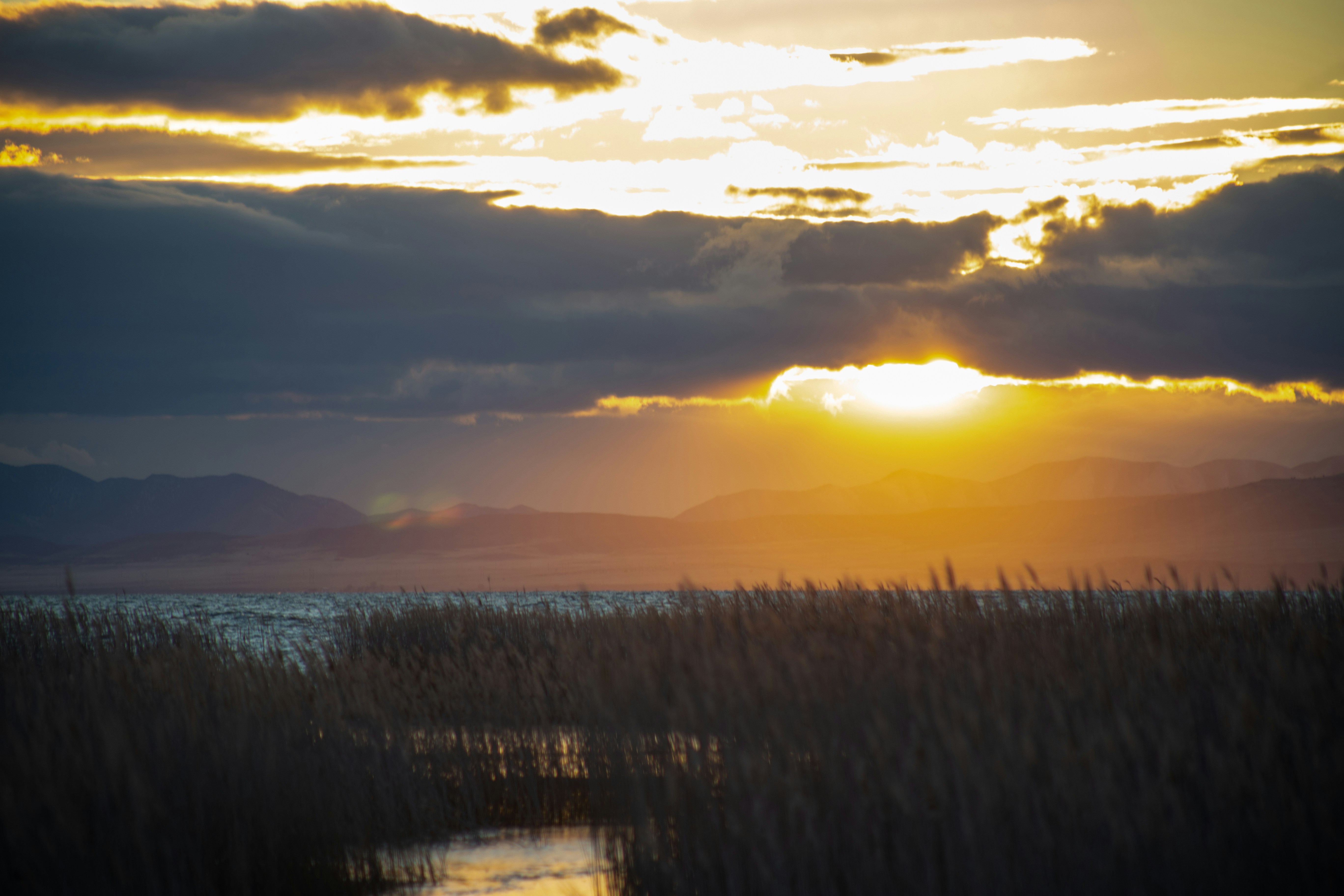 How a Controversial Poison Saved Utah Lake