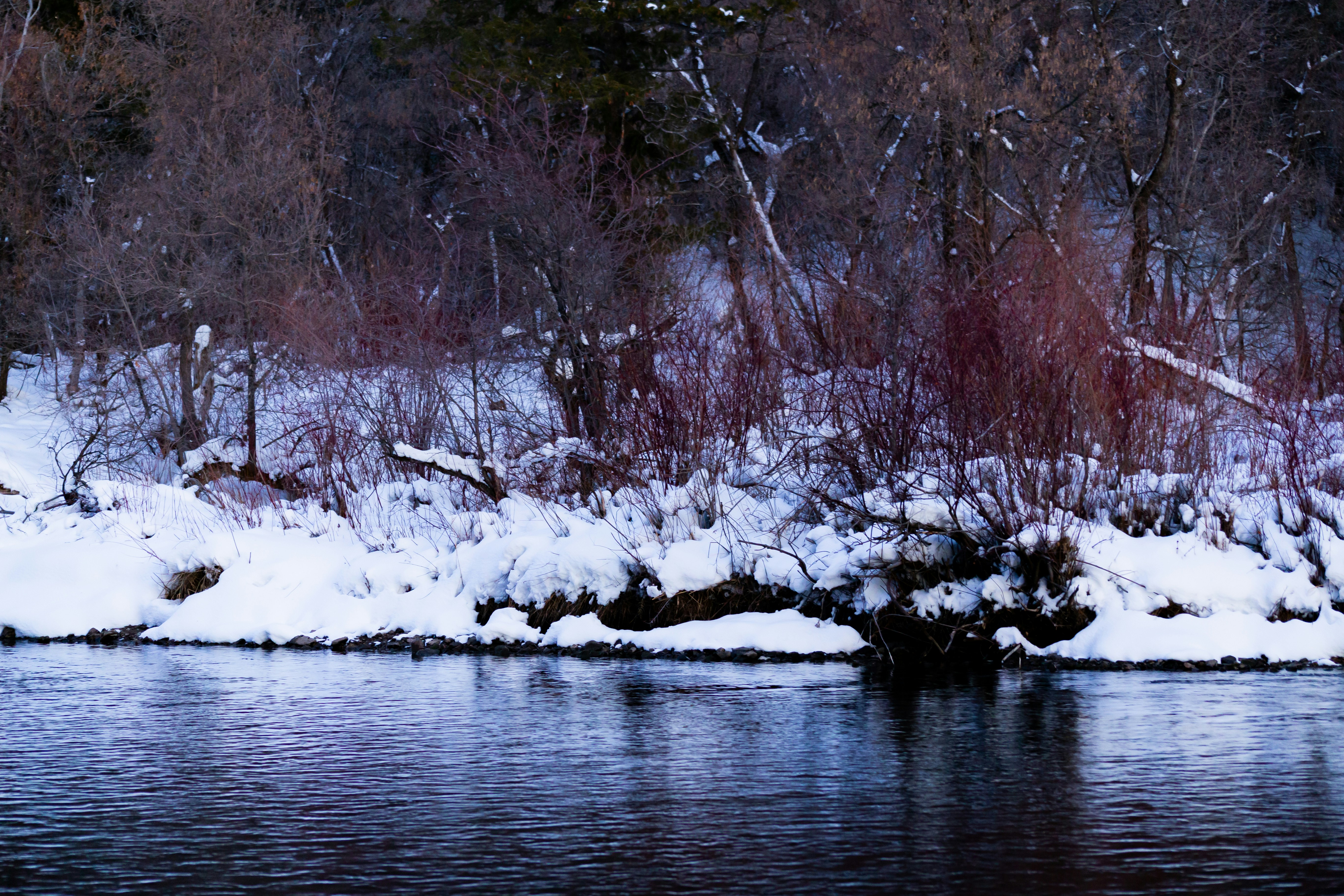 Photo by brentdalling