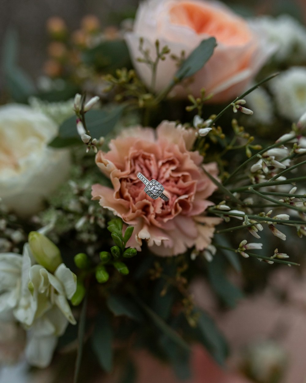 pink and white flower in tilt shift lens