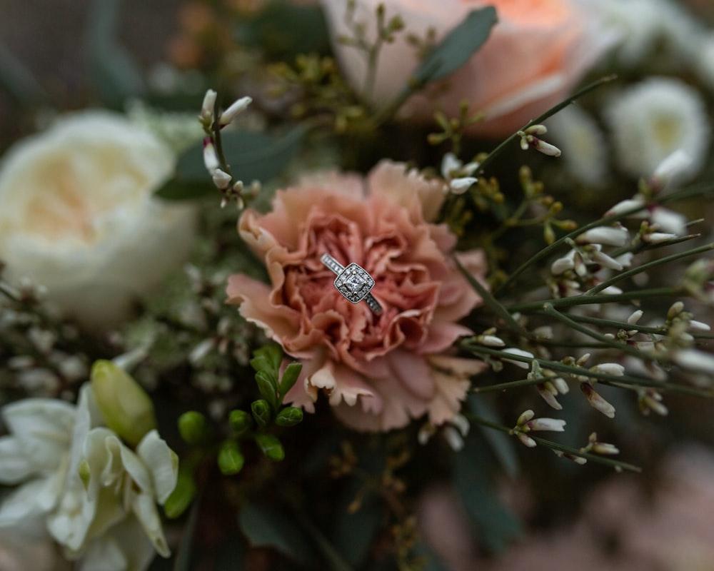 pink and white flower in tilt shift lens