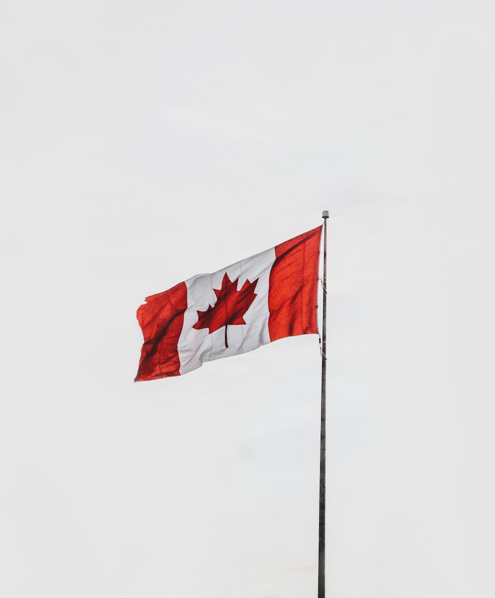 Bandera roja y blanca en el mástil