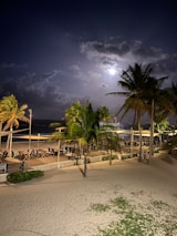 A tranquil beach scene at night with palm trees swaying gently under a luminous moon, casting light over the sandy shore. Wooden lounge chairs are arranged neatly by the water's edge, partially shielded by canopies. The sky is dotted with clouds, allowing the moonlight to create a serene ambiance.