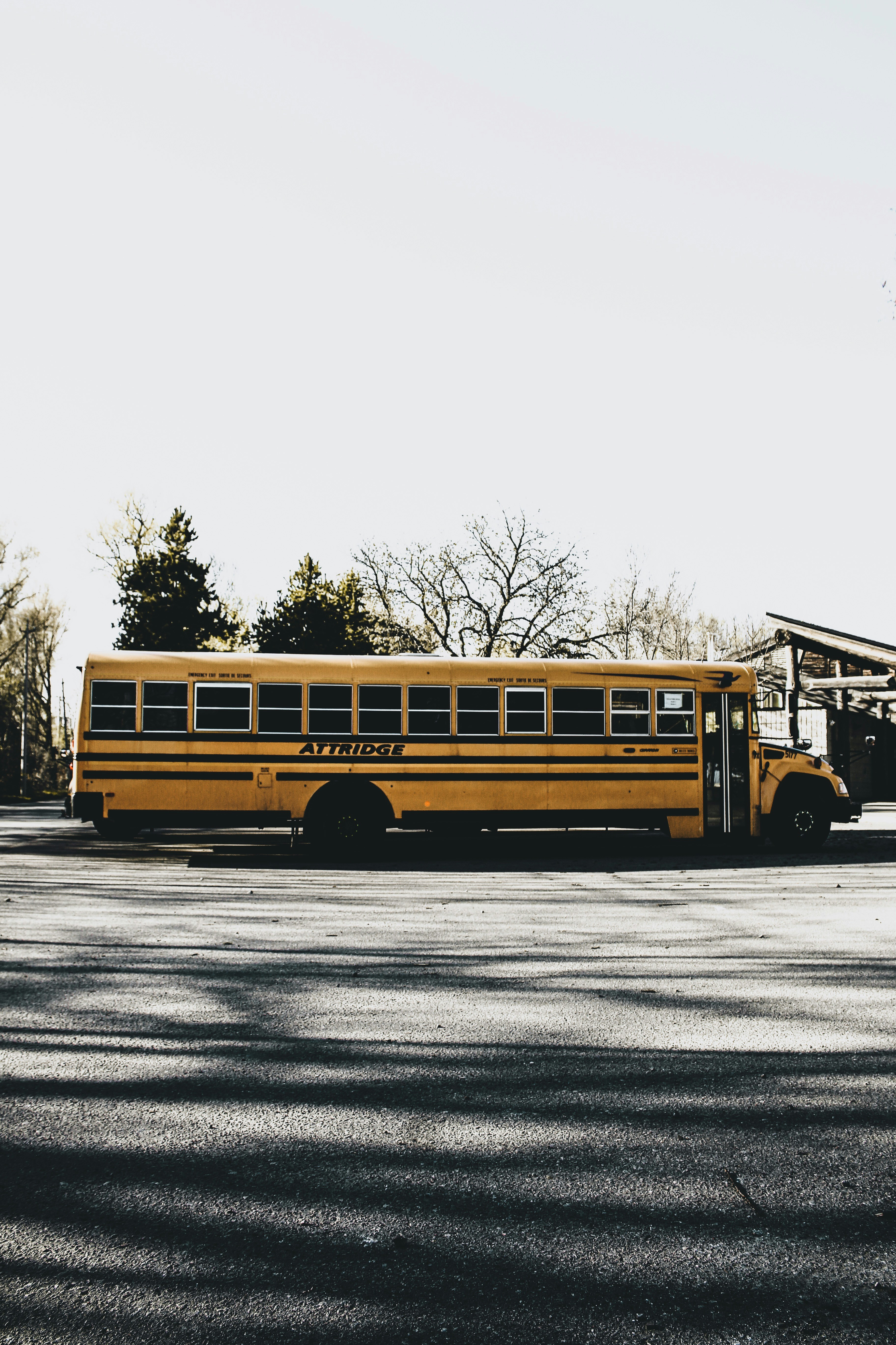 Photo by renankamikoga