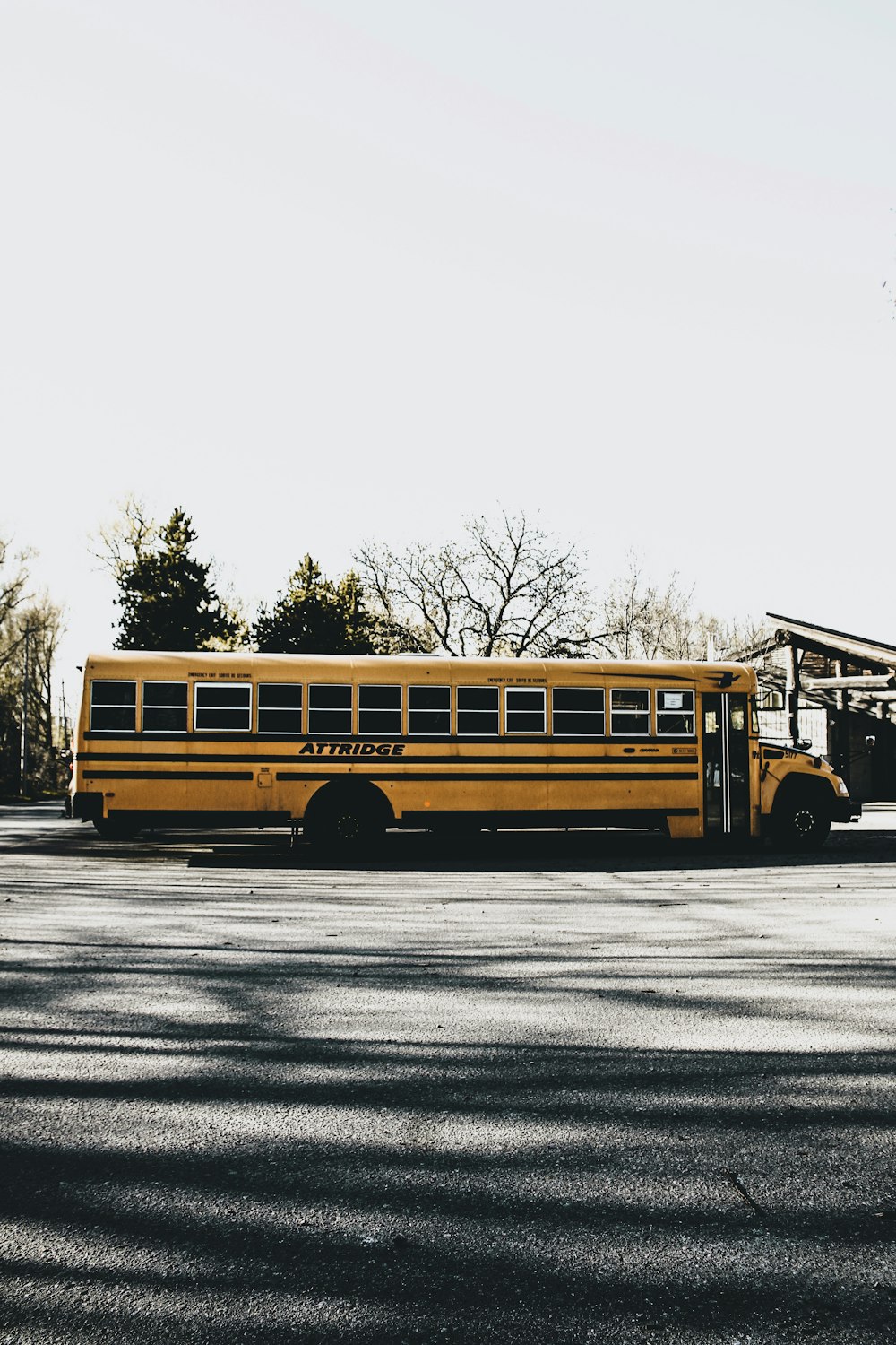 yellow school bus on road during daytime