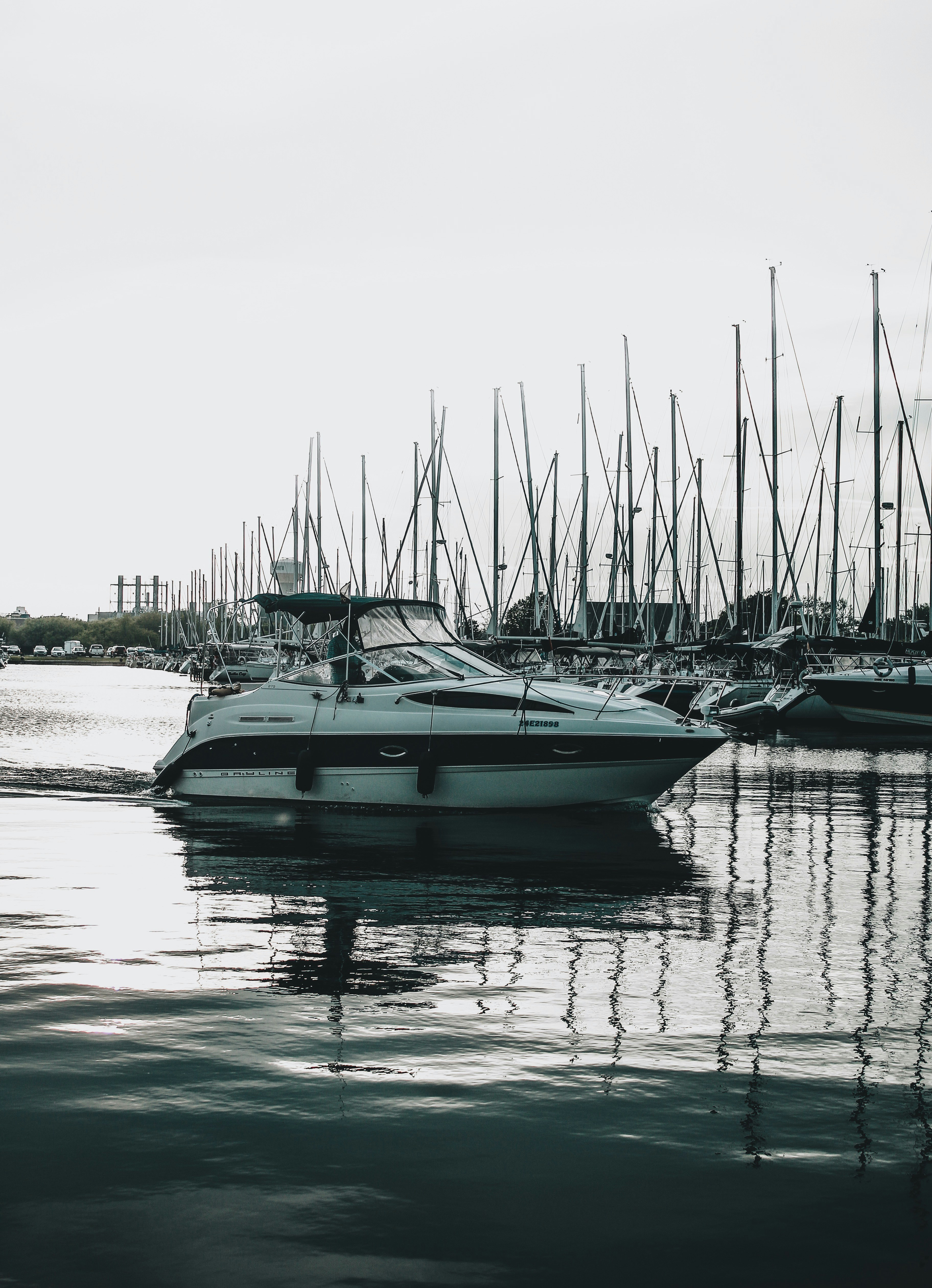 Photo by renankamikoga