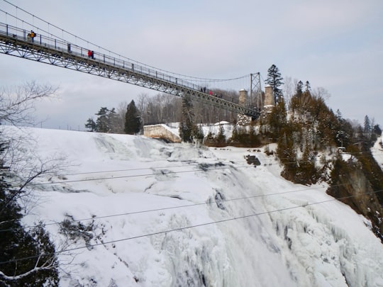 green trees on snow covered ground in Montmorency Falls Canada