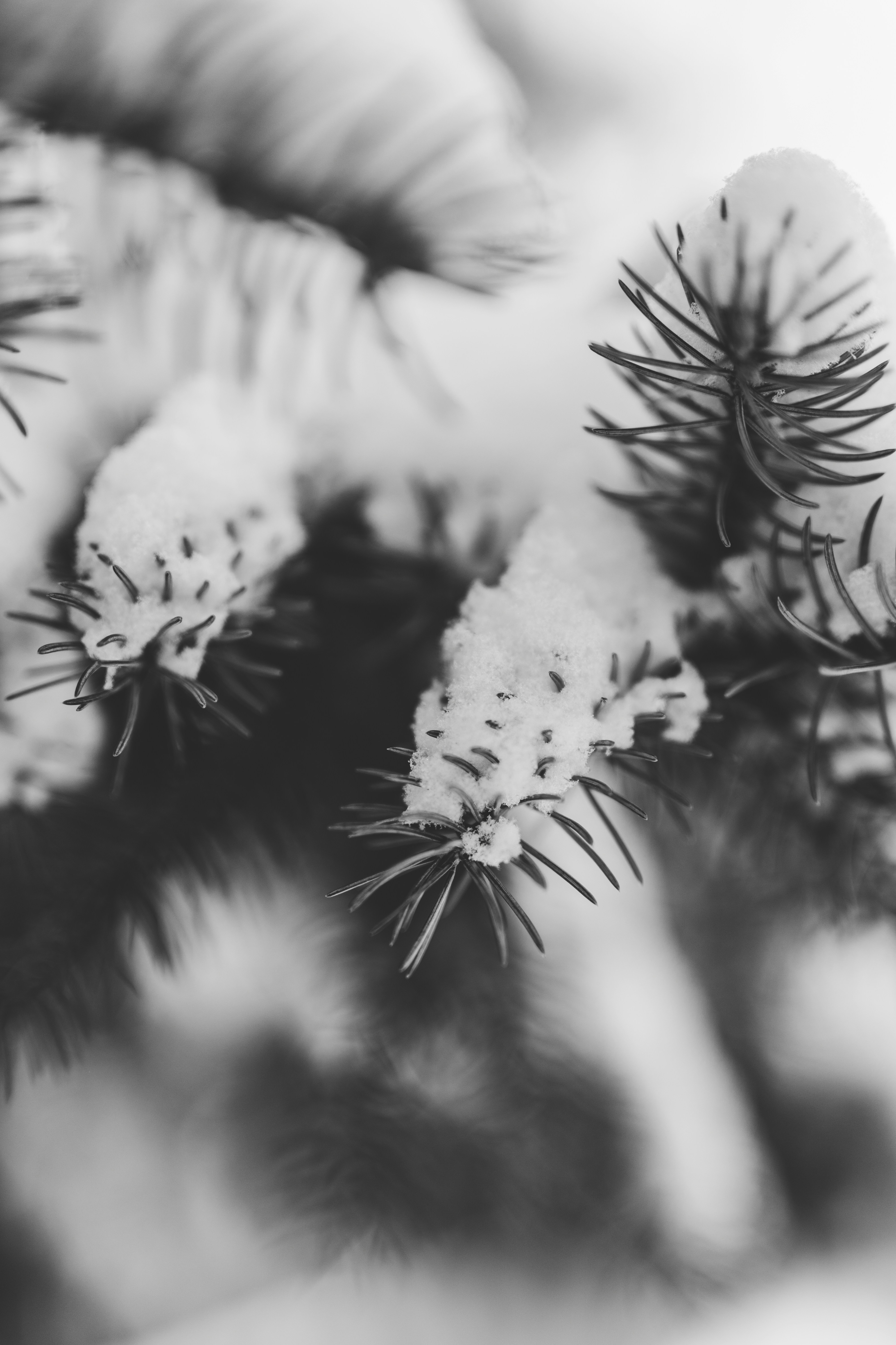 Photo by shootnmatch