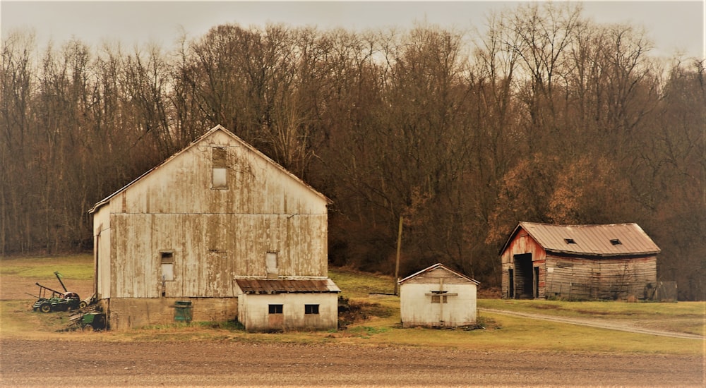 white and brown wooden house near brown trees during daytime