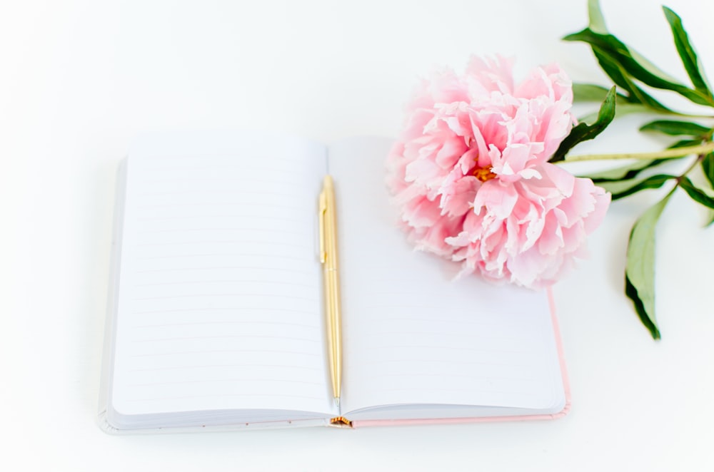 pink flower on white paper